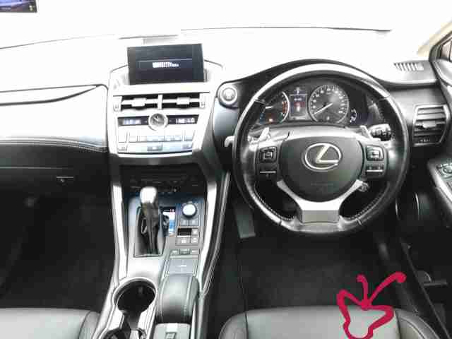 Lexus NX-2017