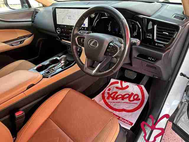 Lexus NX 250-2022