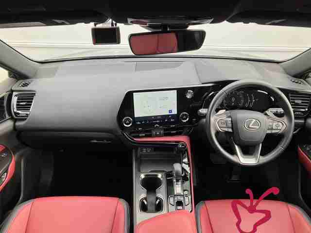 Lexus NX 250-2022