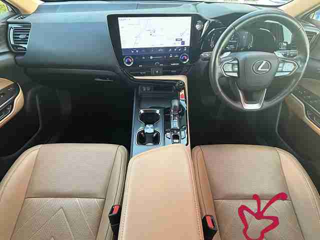 Lexus NX 250-2022