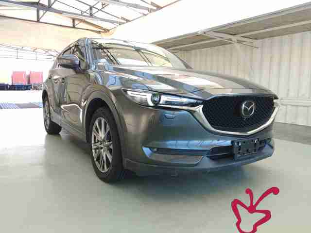 Vehicle Image Mobile View